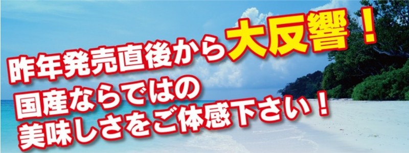 �{�̃t���[�c�Ȃ�A���������Ȃ��囸�����T�C�g